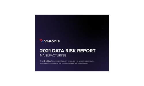 2021 Data Risk Report - Manufacturing