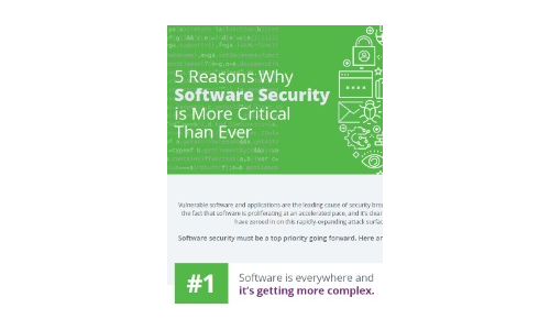 5 Reasons Why Software Security is More Critical Than Ever
