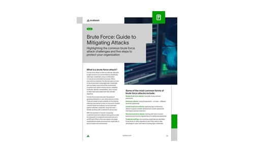 Brute Force: Guide to Mitigating Attacks