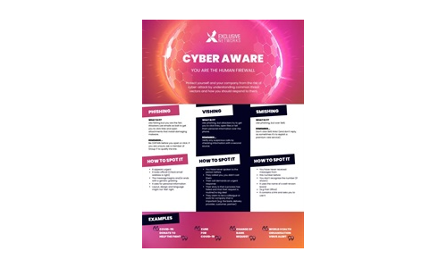 Cyber Aware Infographic