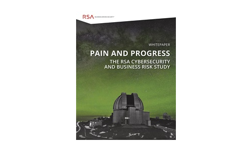 Pain & Progress: Cybersecurity and Business Risk Study