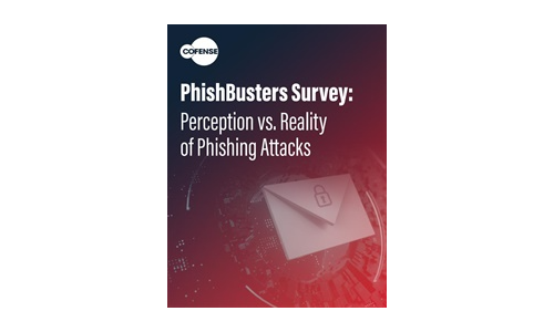 PhishBusters Survey: Perception vs. Reality of Phishing Attacks