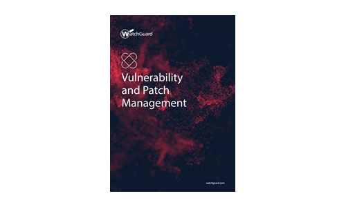 Vulnerability and Patch Management