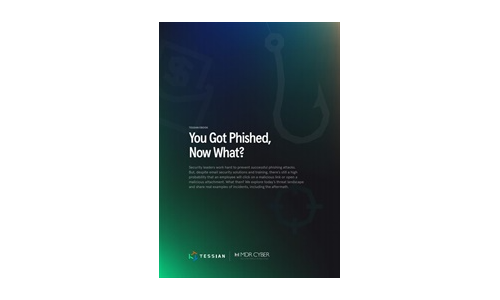 You Got Phished, Now What?